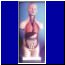 model tu�owia B22
